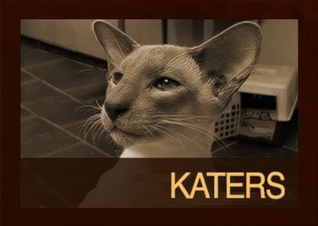 Katers Cattery van Brukel